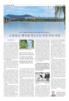 16면 사진